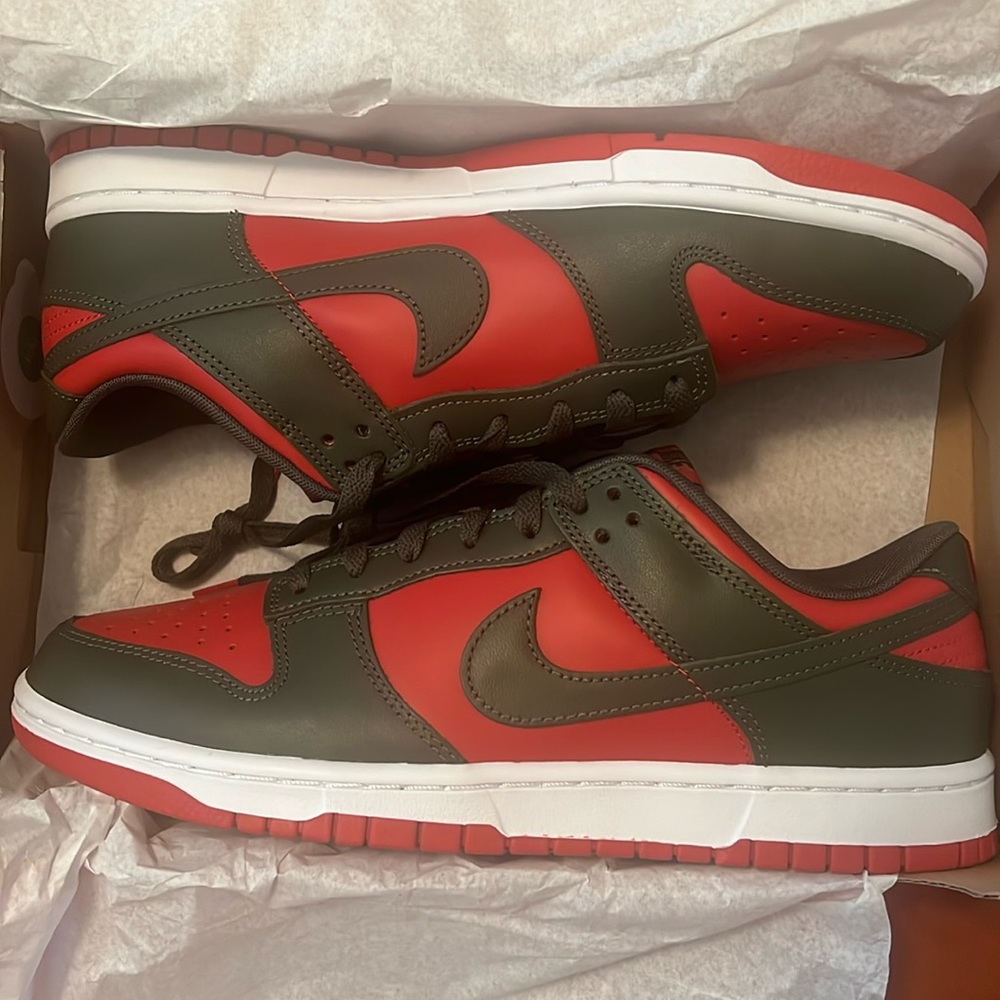 Nike dunk low retro